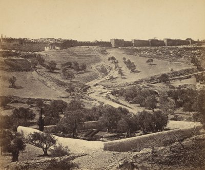 Jerusalén. Jardín de Getsemaní de James Robertson